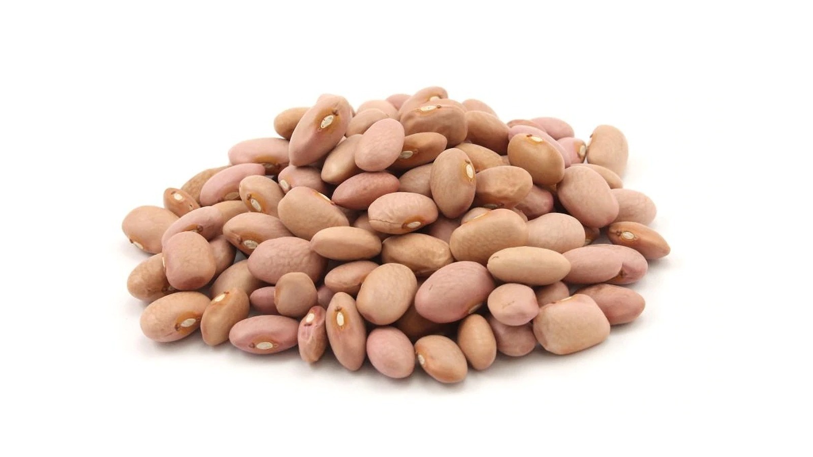 20-facts-about-pink-bean