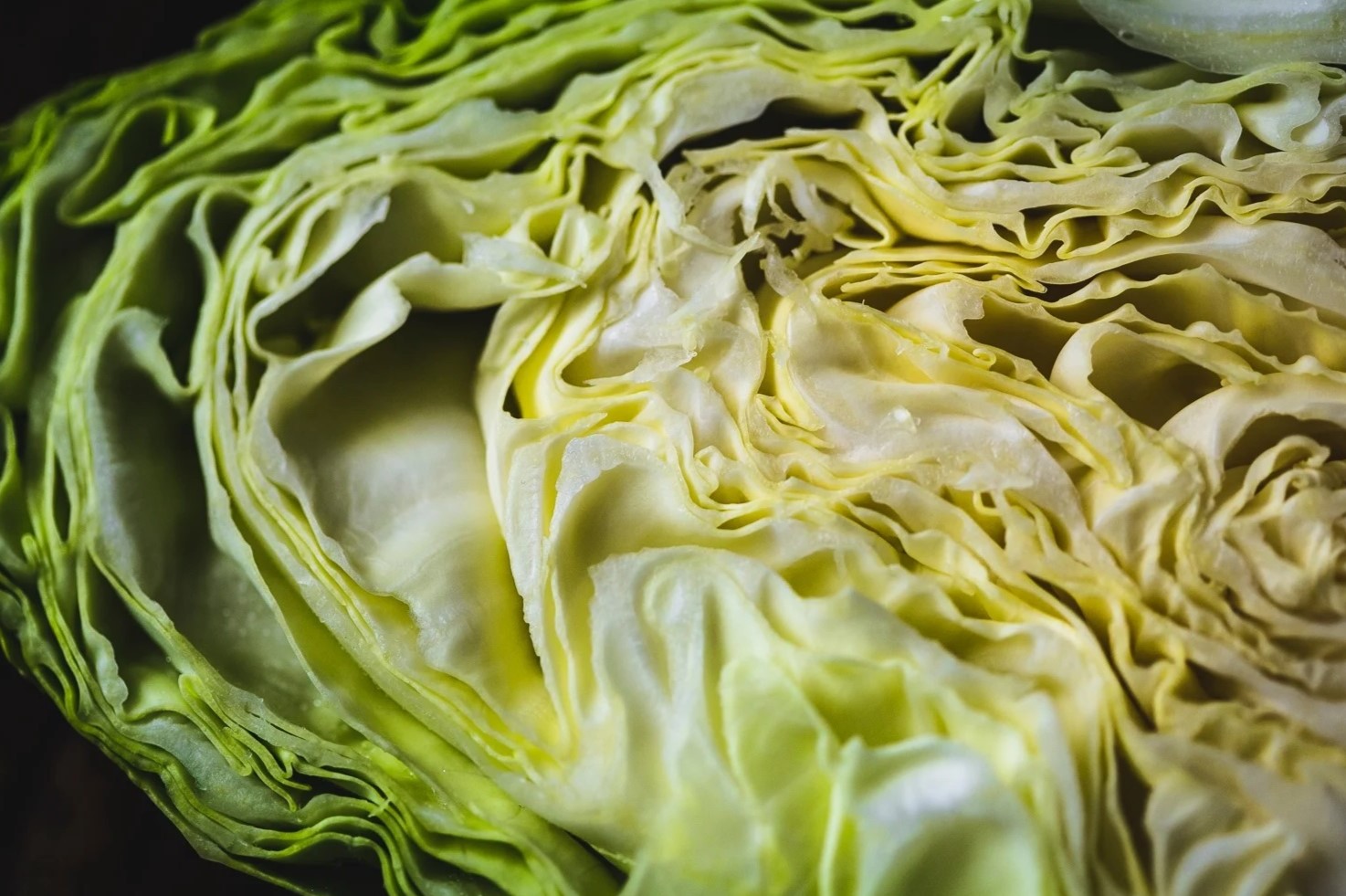 20-facts-about-pointed-cabbage