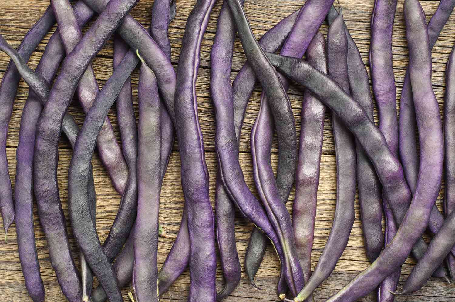 20-facts-about-purple-string-bean