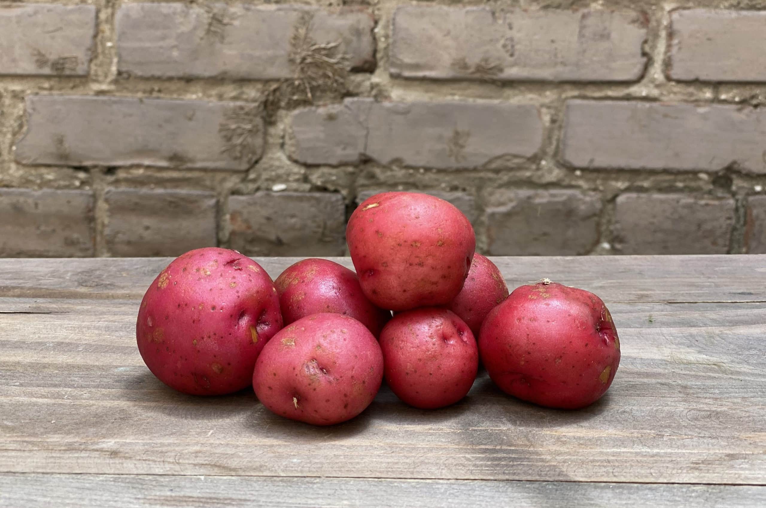 20-facts-about-red-bliss-potato