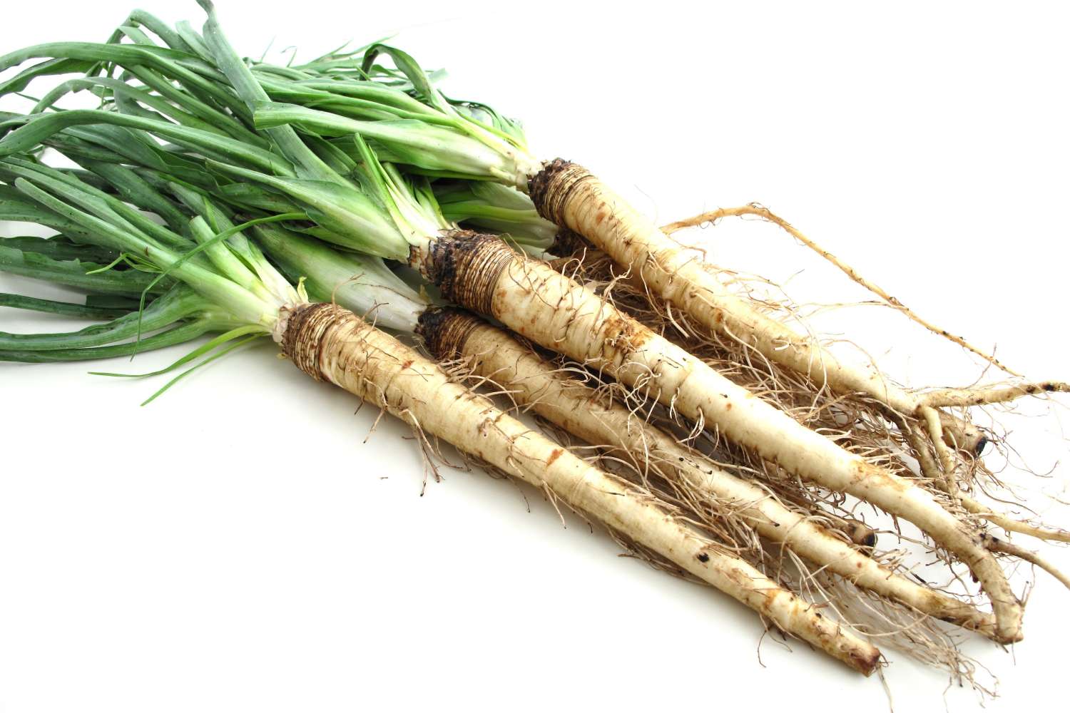 20-facts-about-salsify