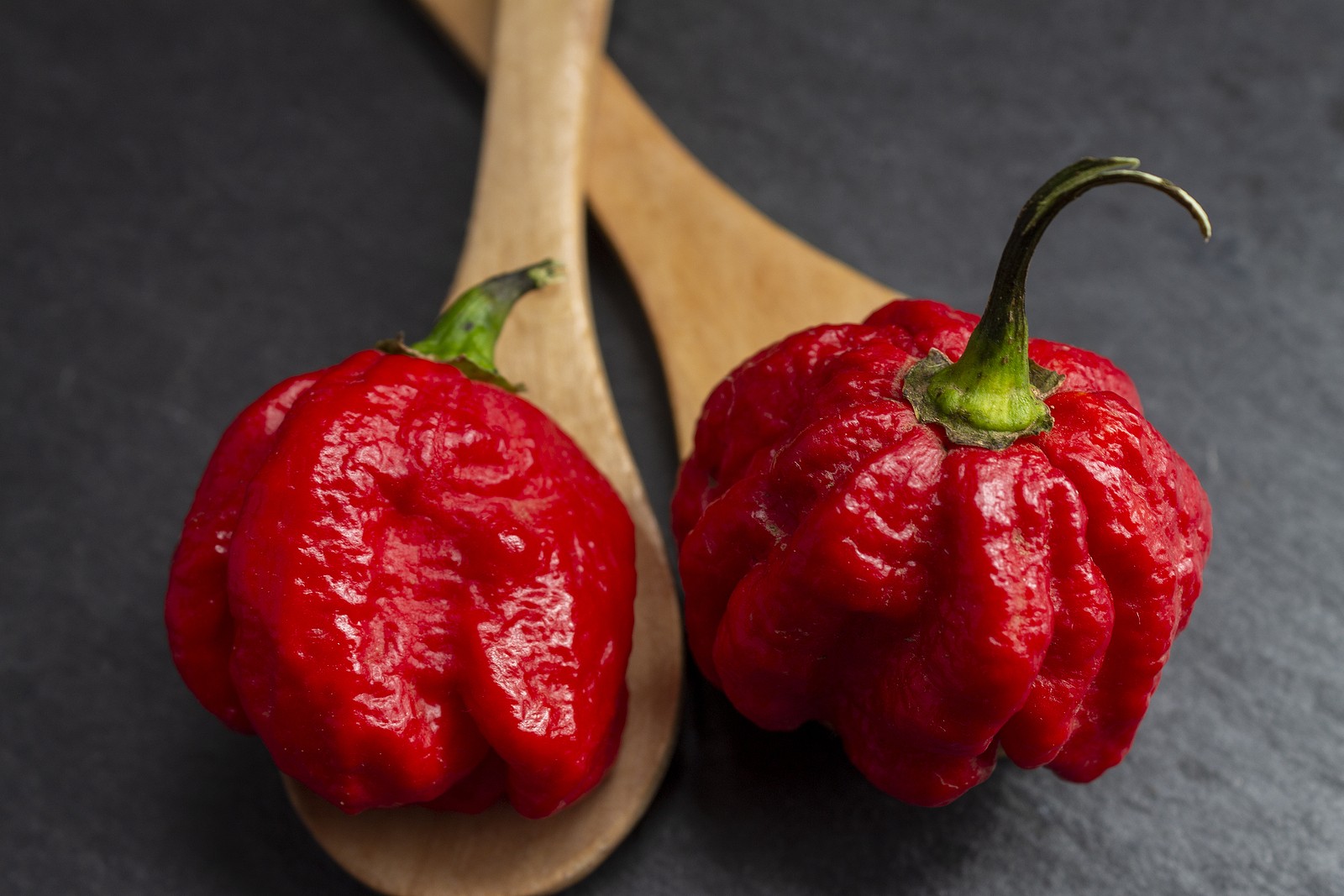 20-facts-about-trinidad-moruga-scorpion-pepper