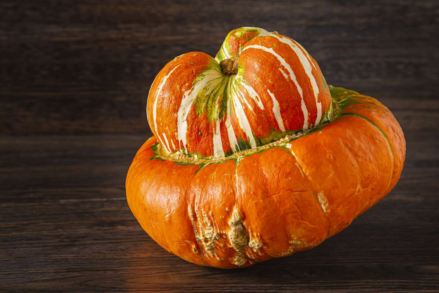 20-facts-about-turban-squash