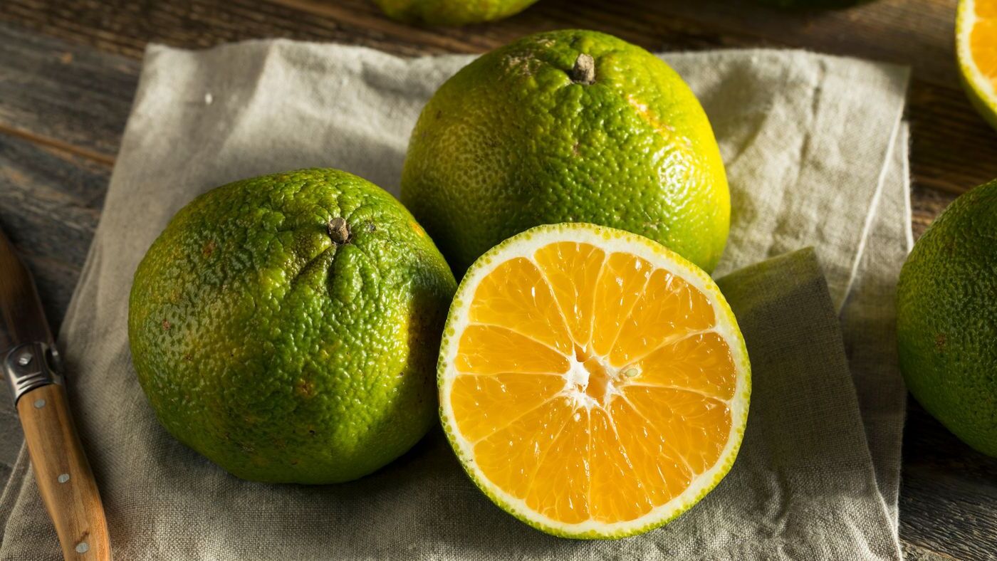 20-facts-about-ugli-fruit