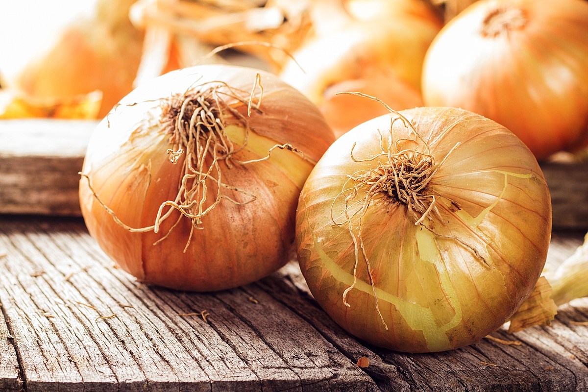 20-facts-about-walla-walla-sweet-onion