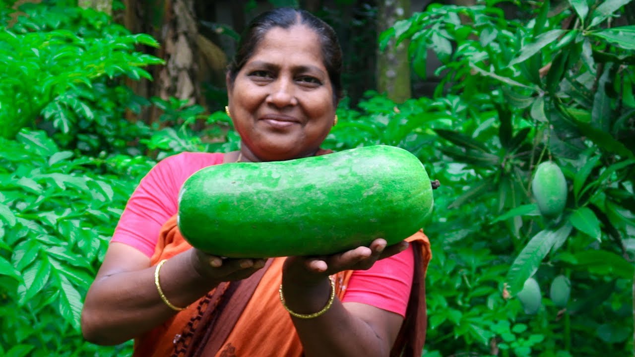 20 Facts About Wax Gourd - OhMyFacts