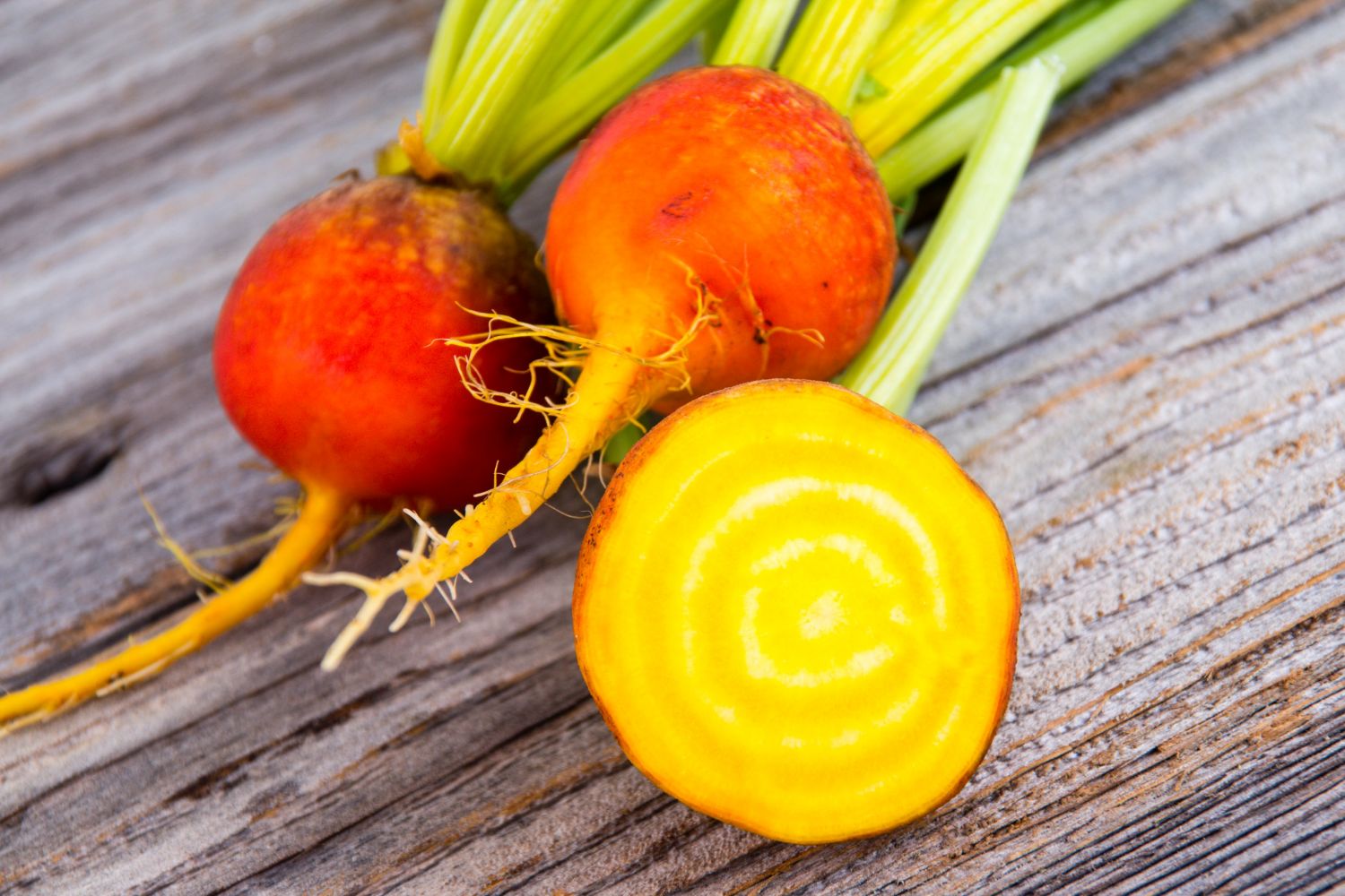 20-facts-about-yellow-beet