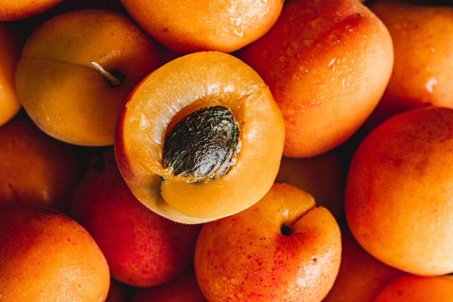 25-facts-about-apricot