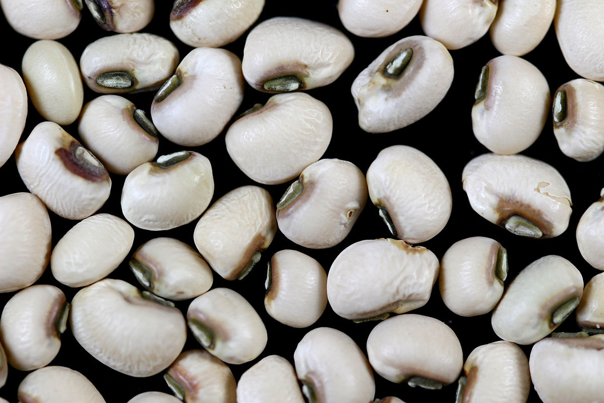 25-facts-about-black-eyed-pea