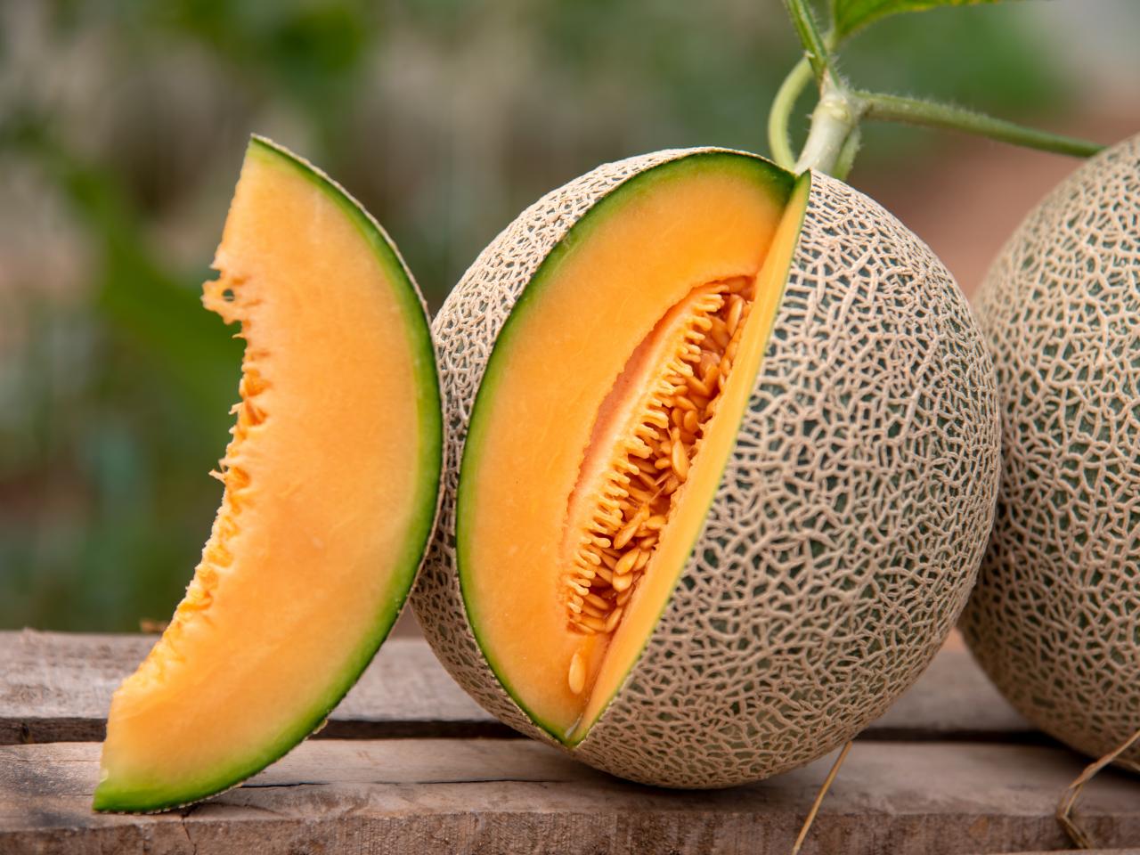 25-facts-about-cantaloupe