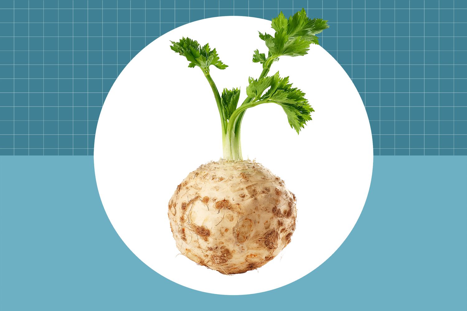 25-facts-about-celeriac