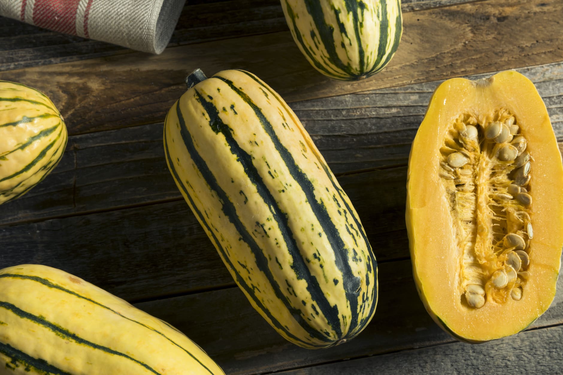 25-facts-about-delicata-squash