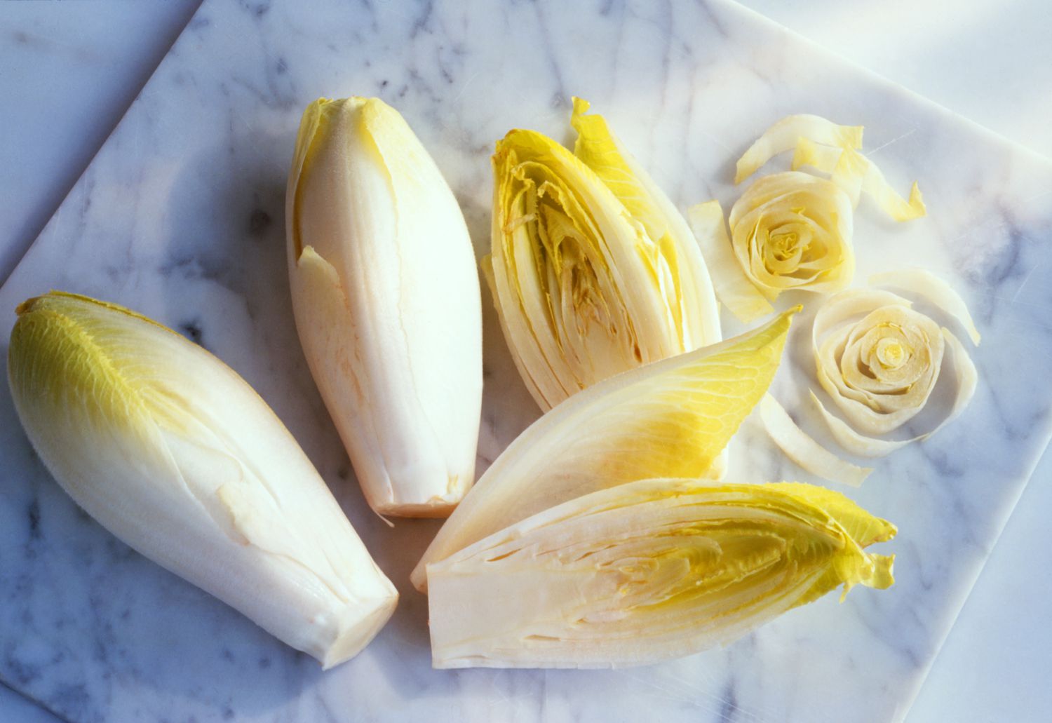 25-facts-about-endive