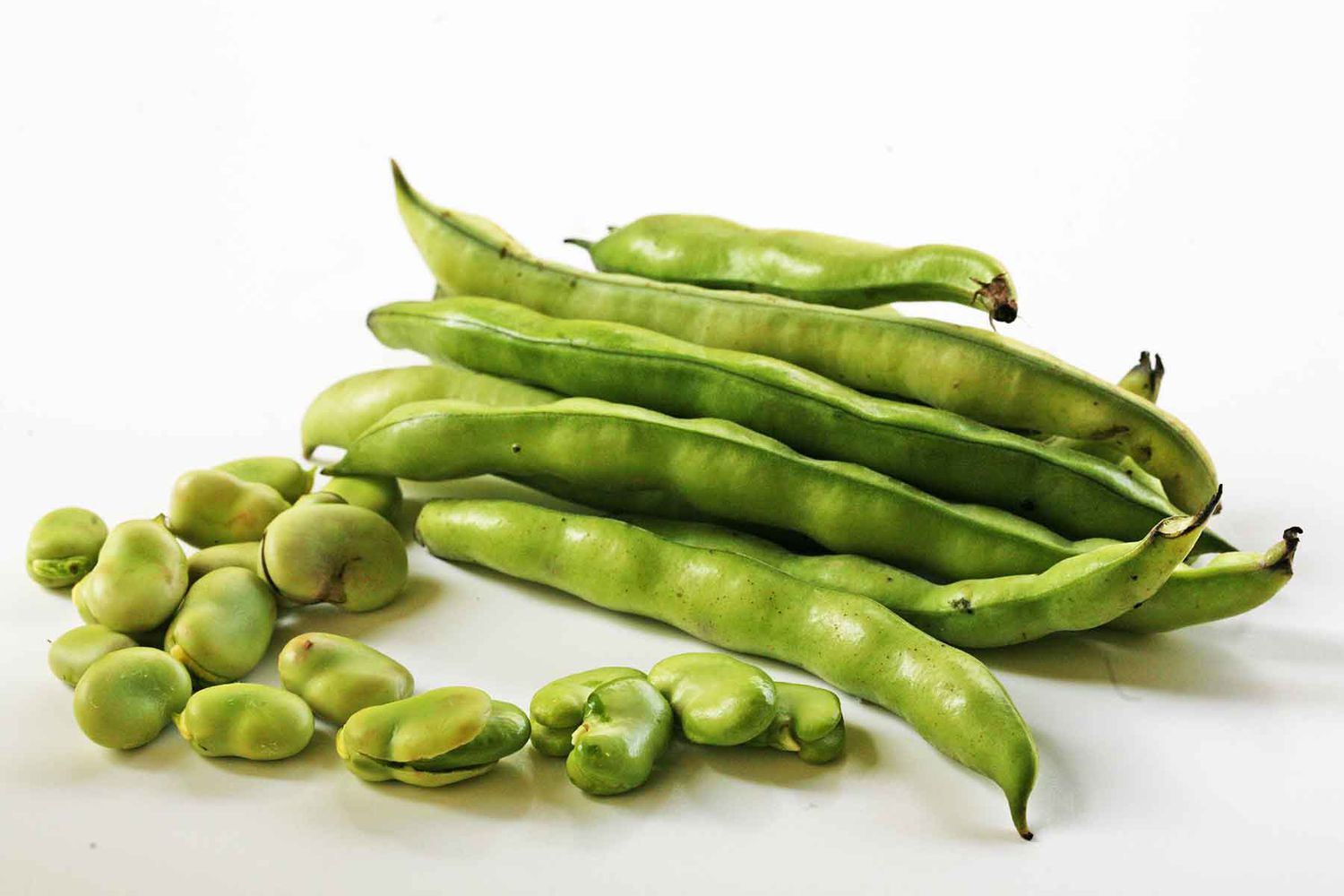 25-facts-about-fava-bean