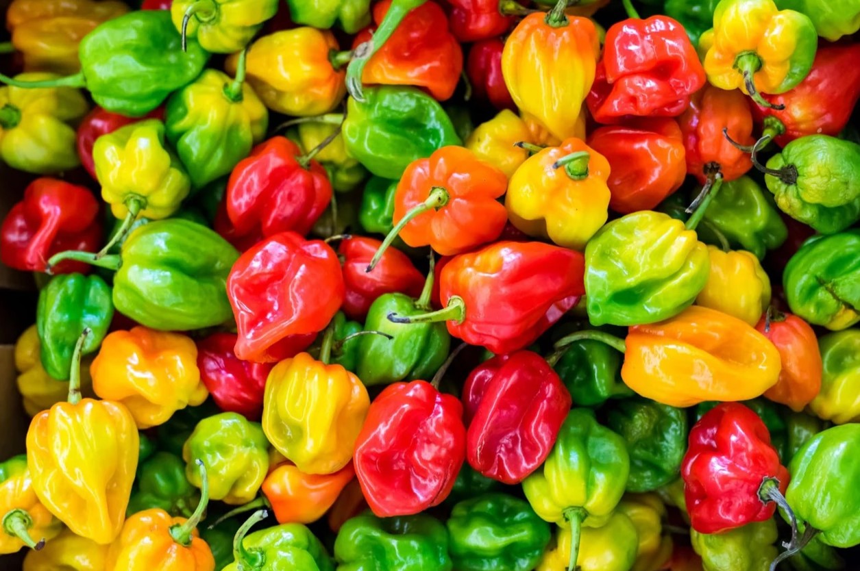 25-facts-about-habanero-pepper