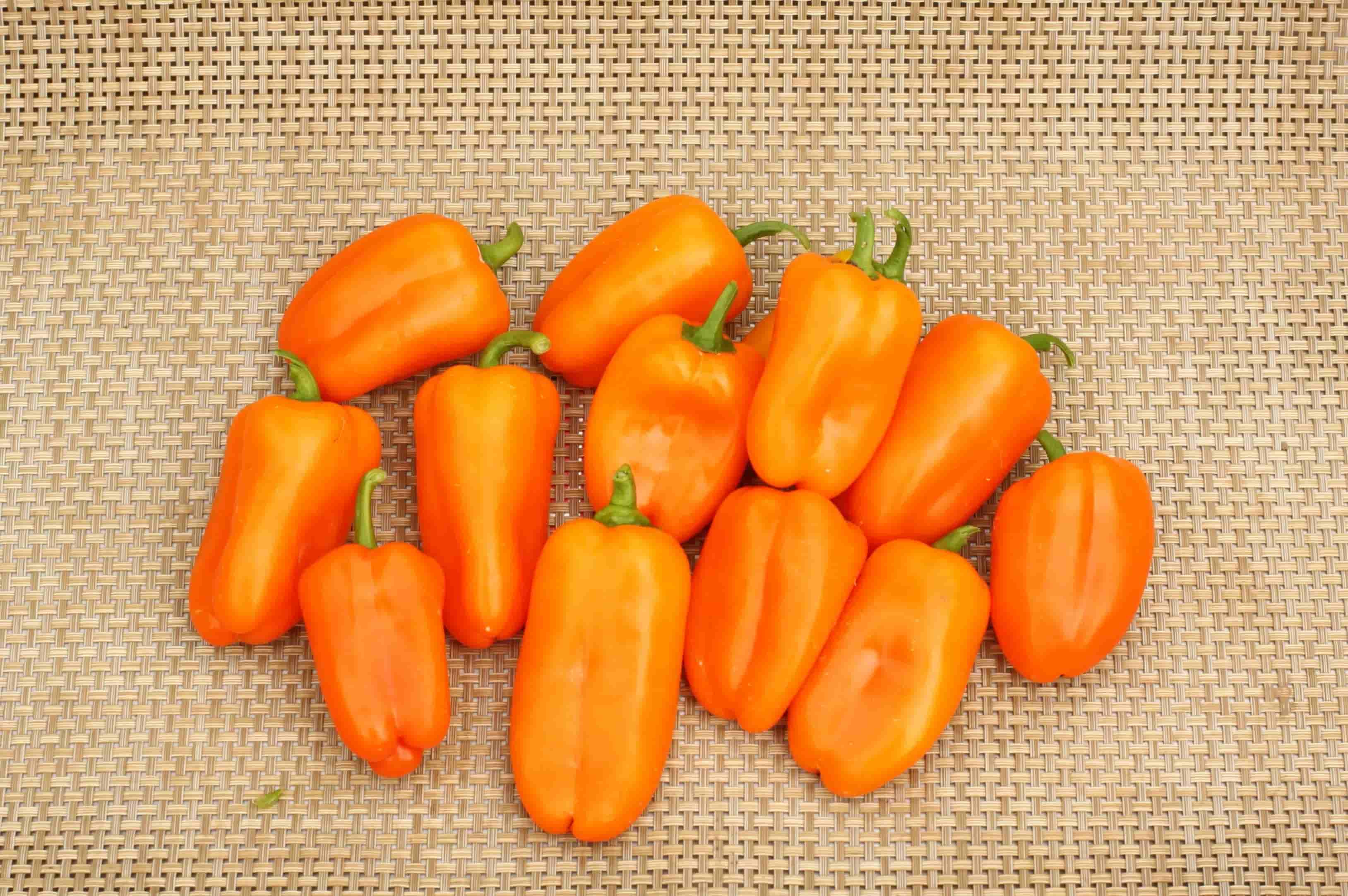 25-facts-about-orange-bell-pepper