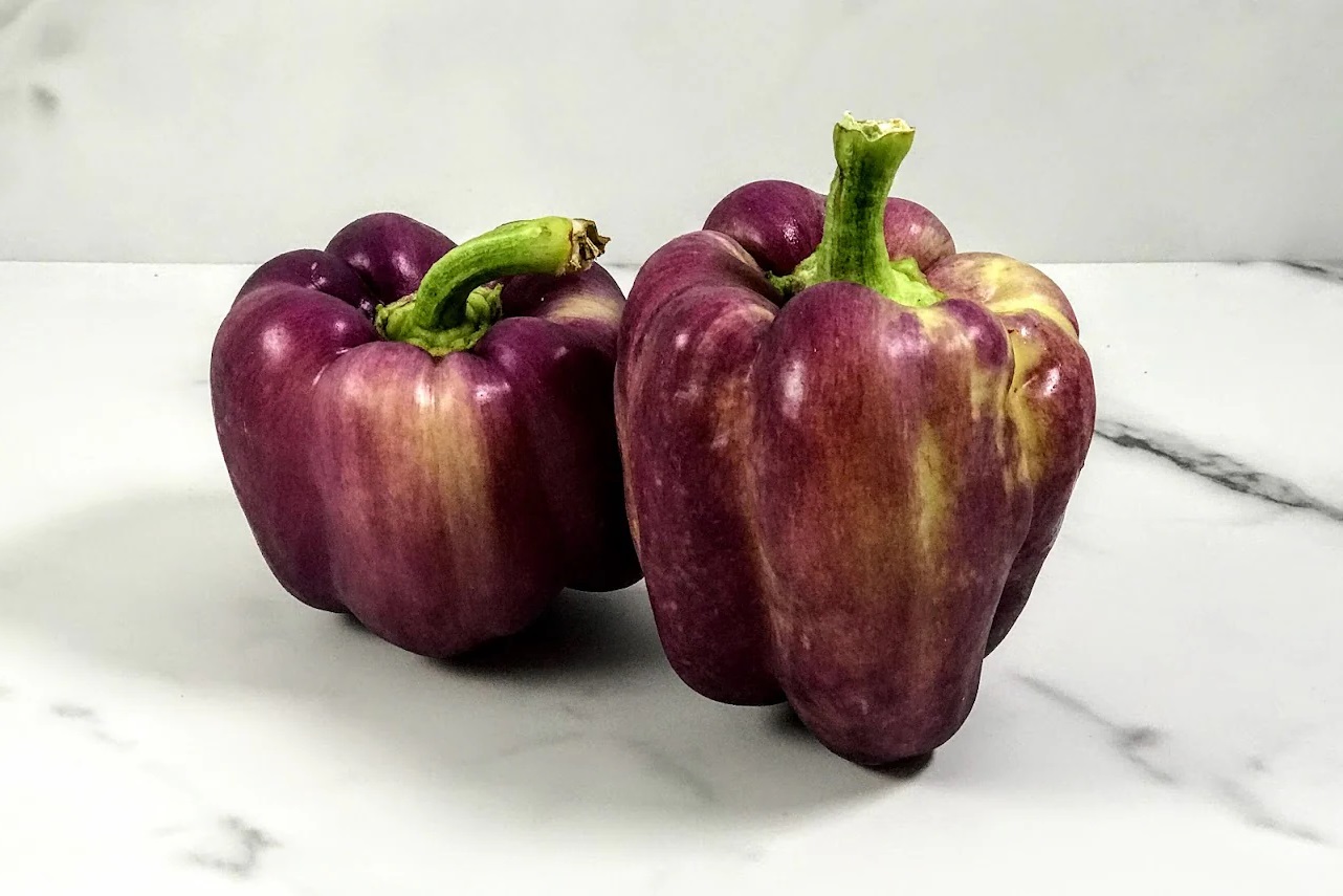 25-facts-about-purple-bell-pepper