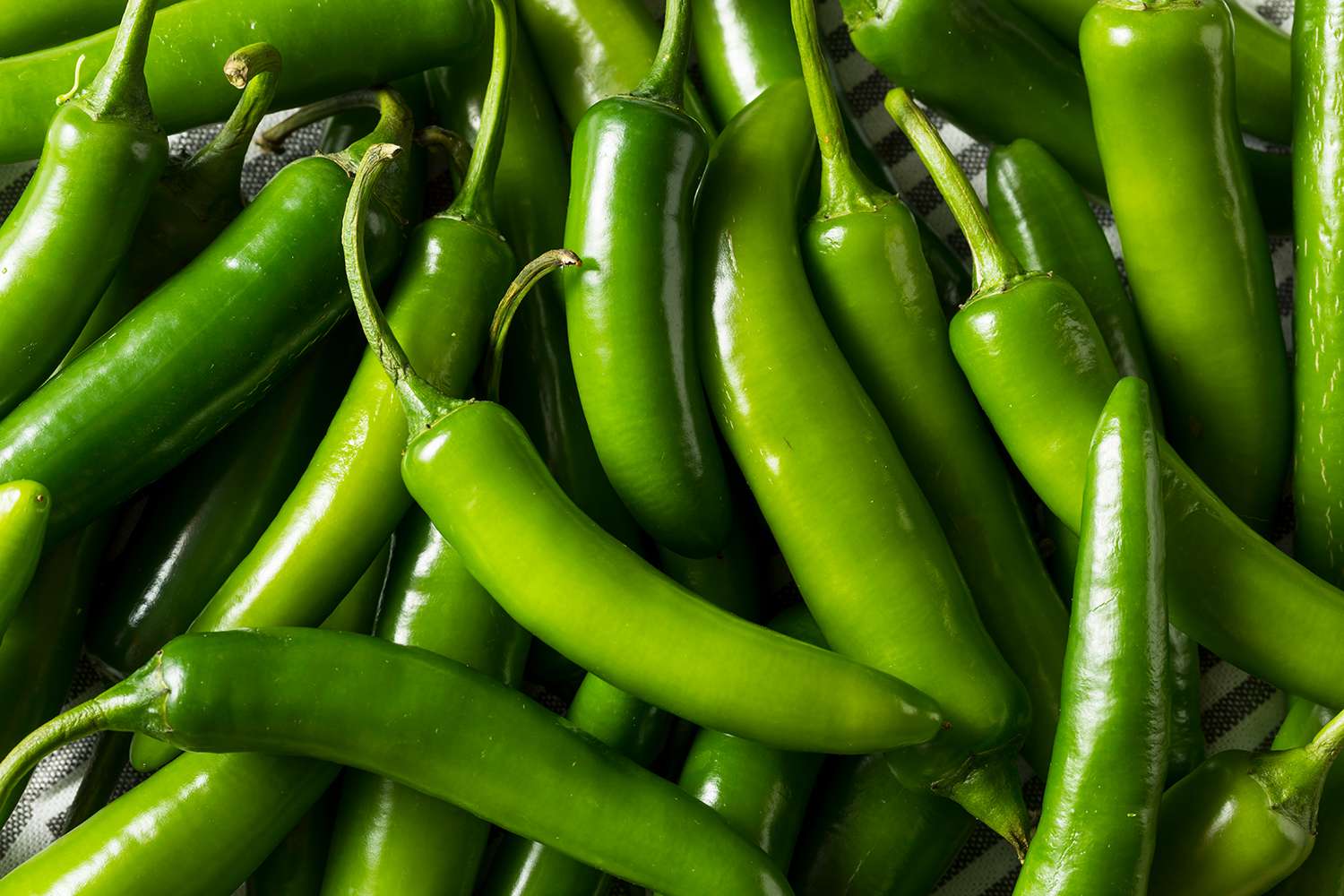 25-facts-about-serrano-pepper