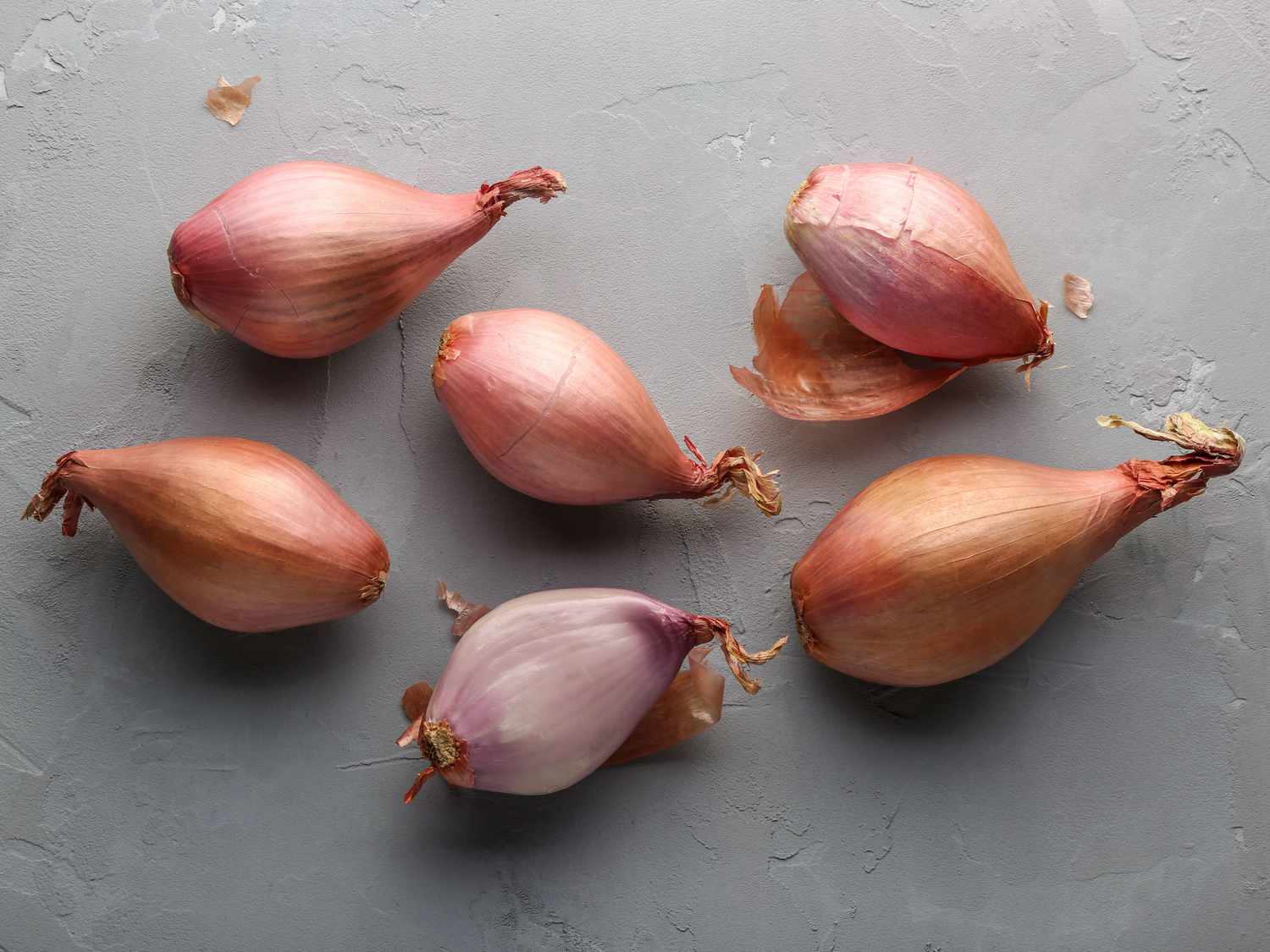 25-facts-about-shallot