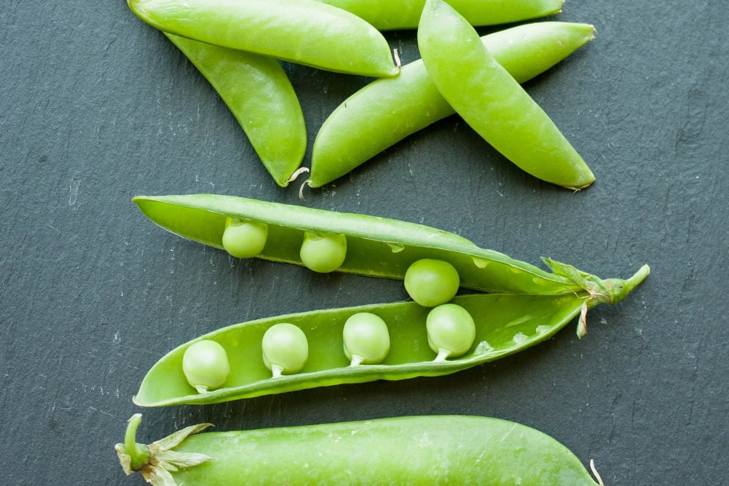 25-facts-about-snap-pea