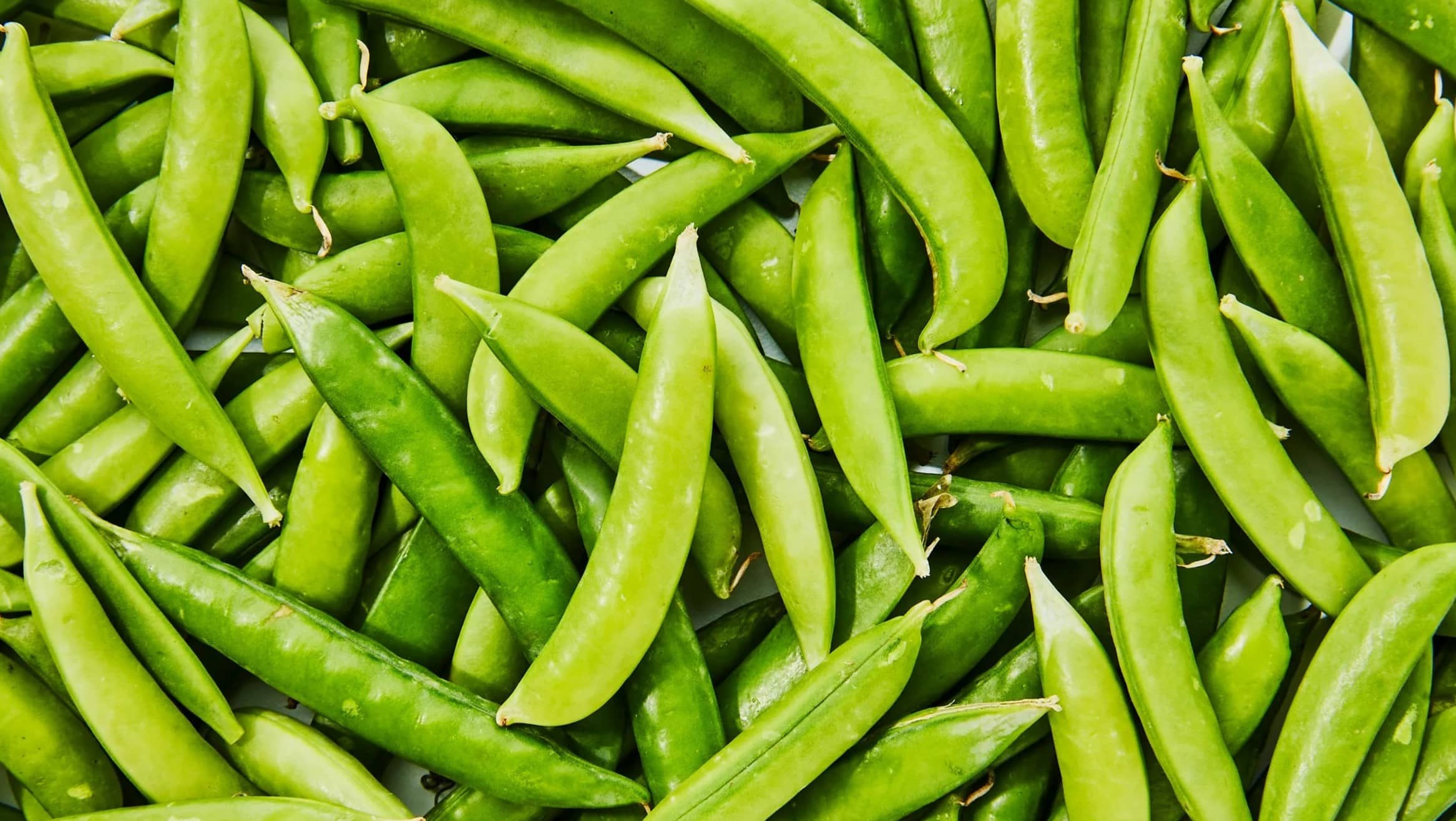 25 Facts About Sugar Snap Pea OhMyFacts