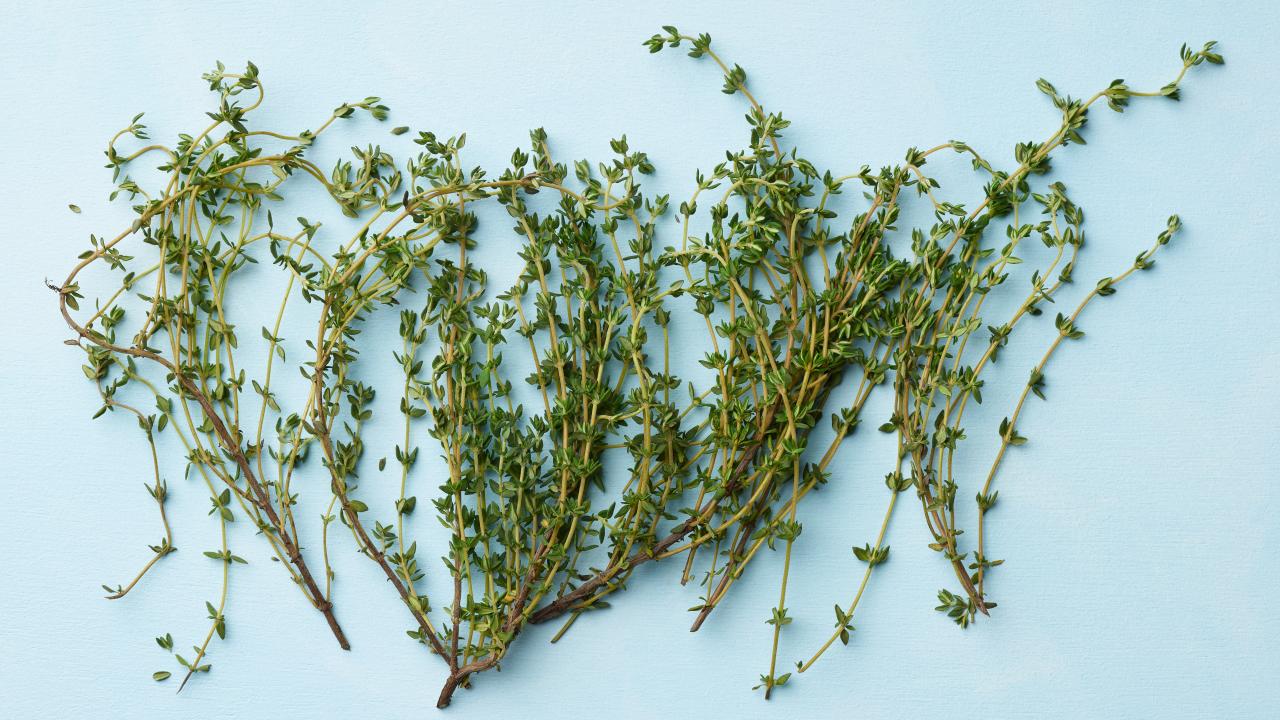 25 Facts About Thyme - OhMyFacts