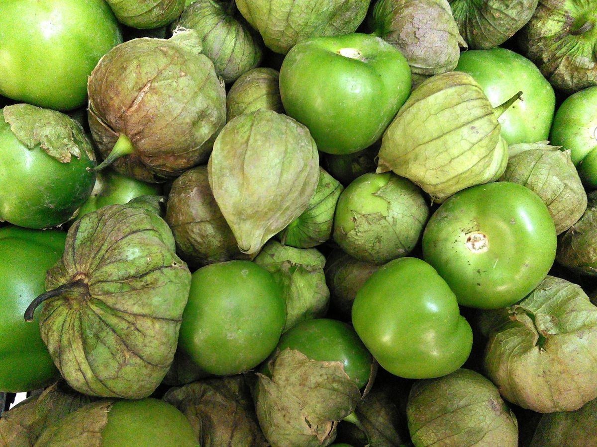 25-facts-about-tomatillo