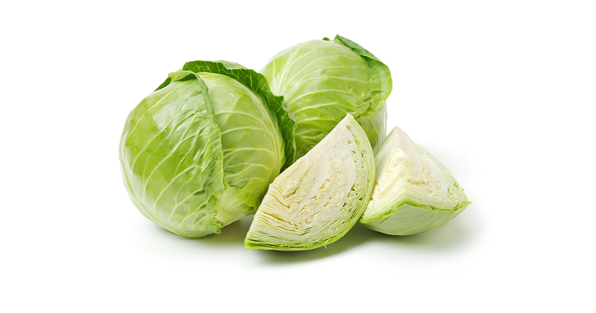 25-facts-about-white-cabbage