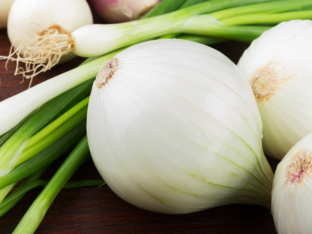 25-facts-about-white-onion