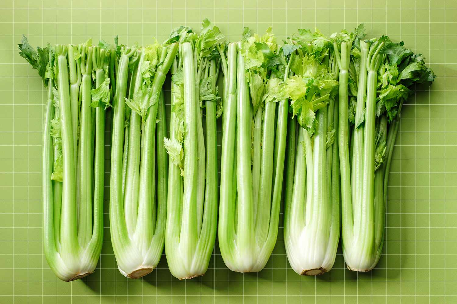 30-facts-about-celery