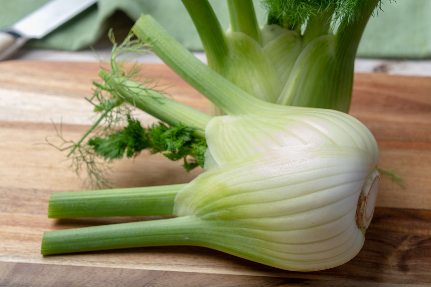 30-facts-about-fennel