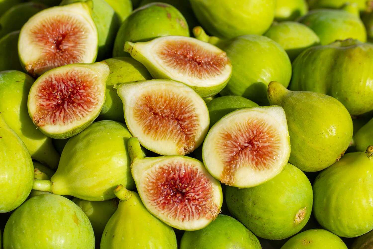 30-facts-about-fig