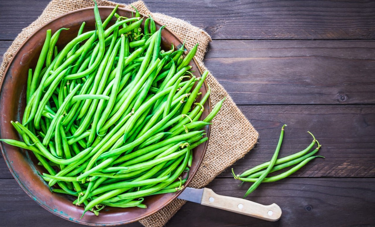 30-facts-about-french-bean