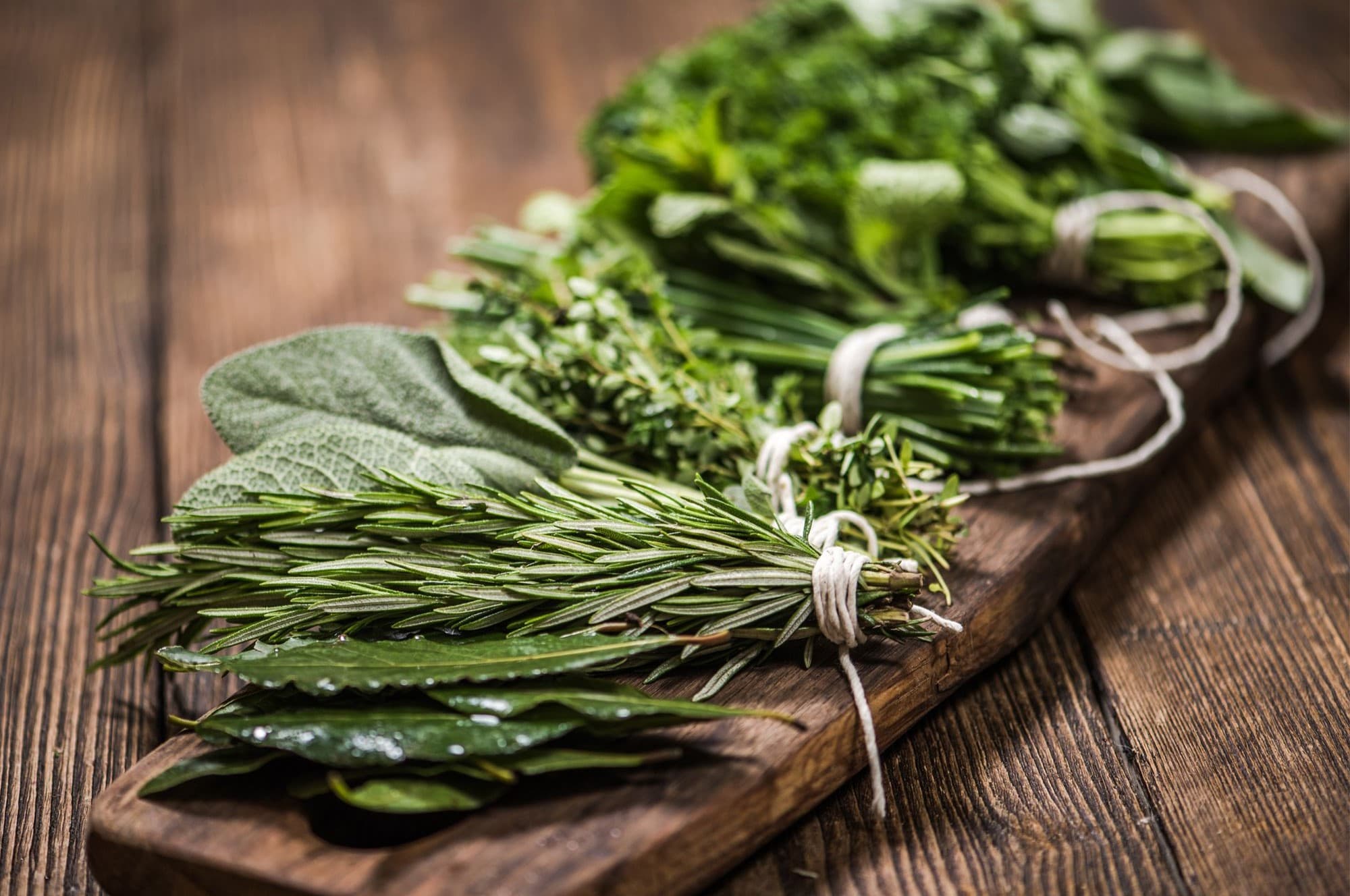 30-facts-about-fresh-herbs