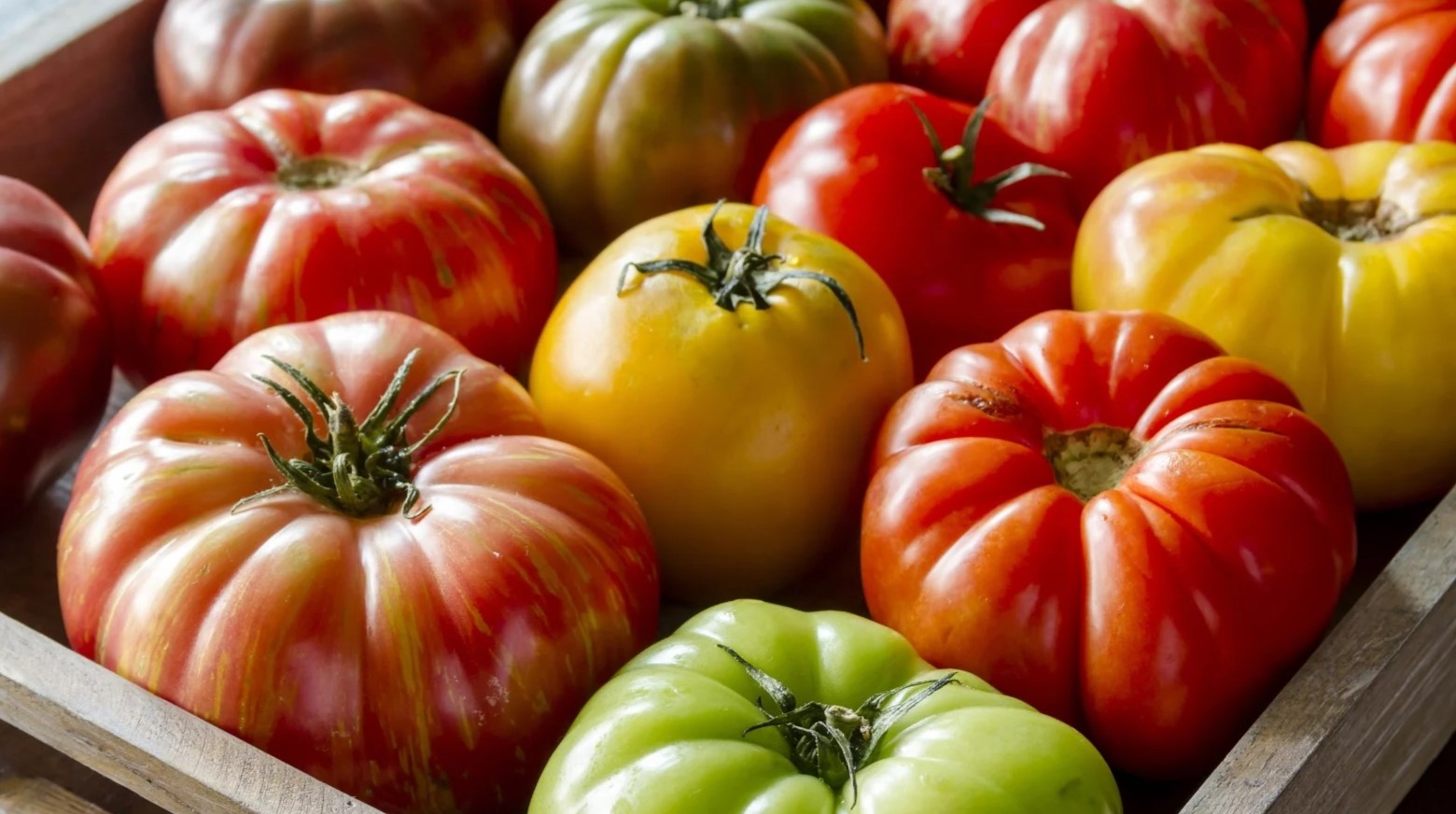 30-facts-about-heirloom-tomato