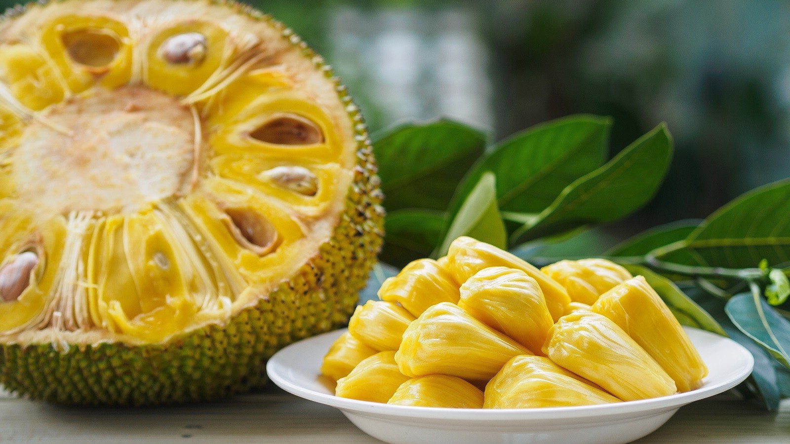 30 Facts About Fiber Rich OhMyFacts