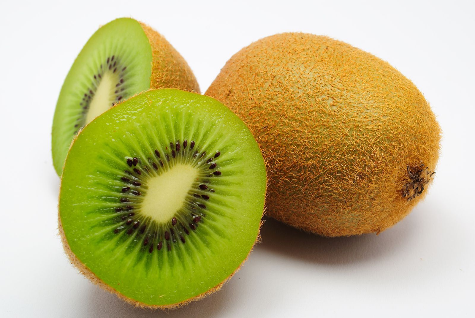 30-facts-about-kiwi