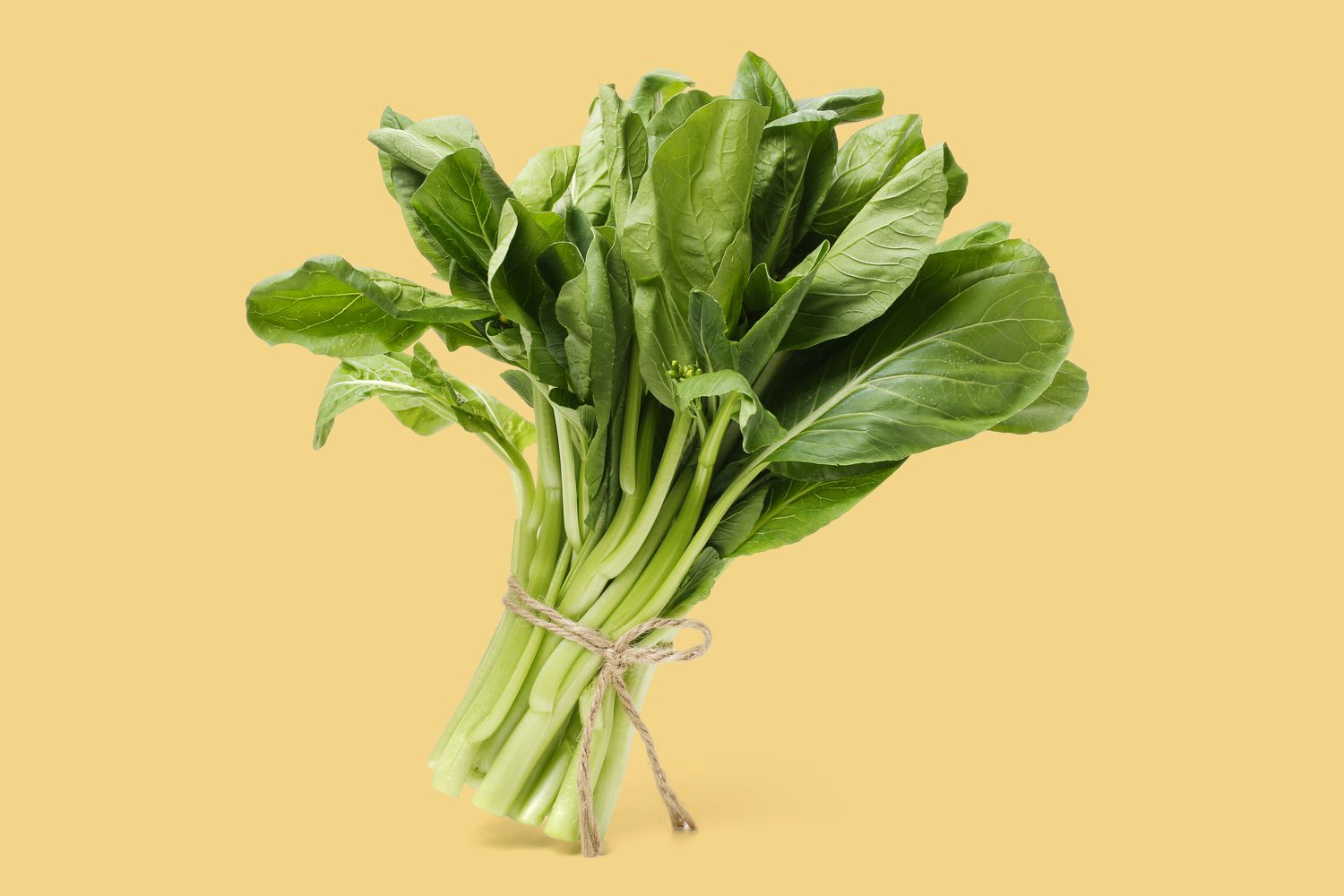 30-facts-about-mustard-greens