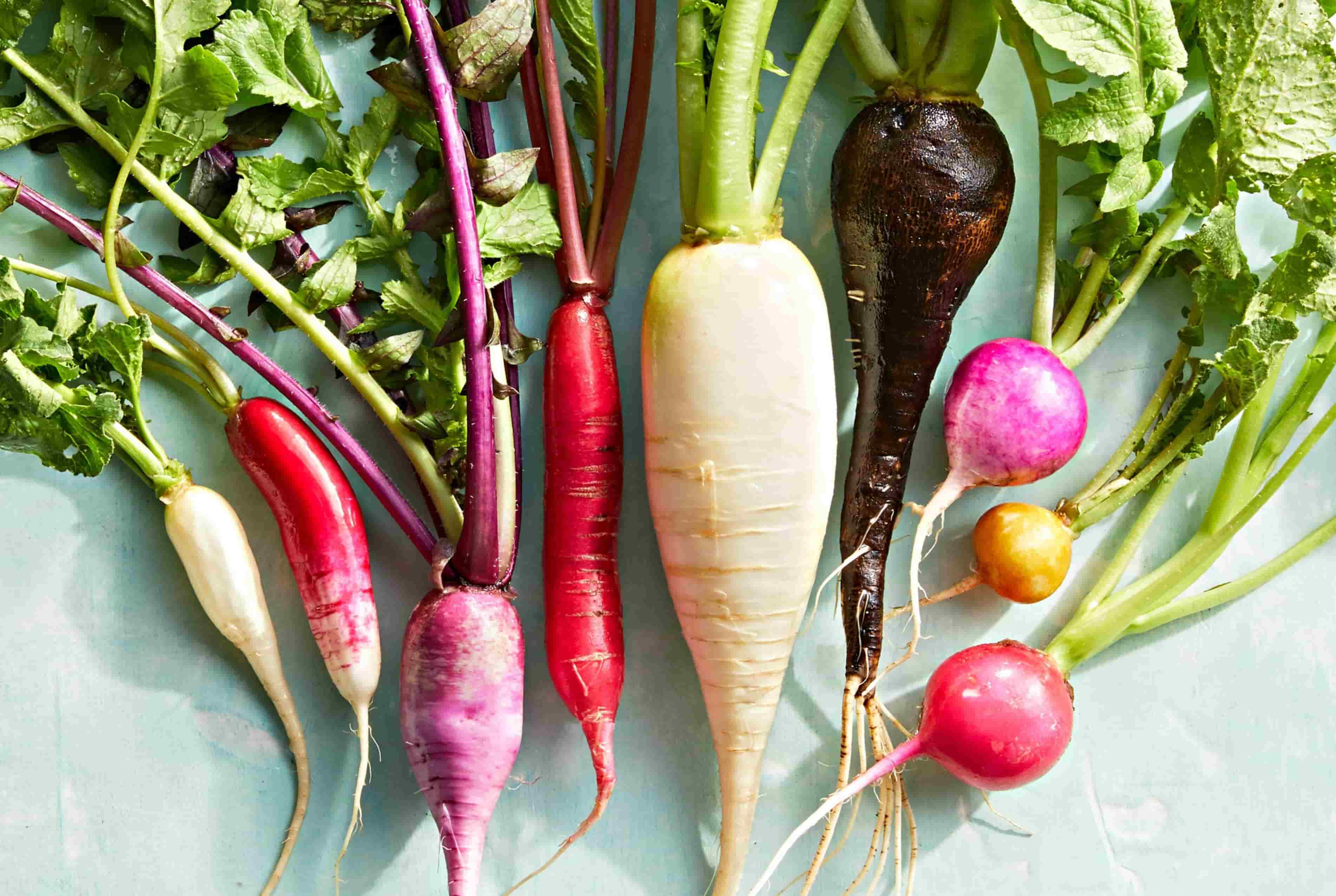 30-facts-about-radish