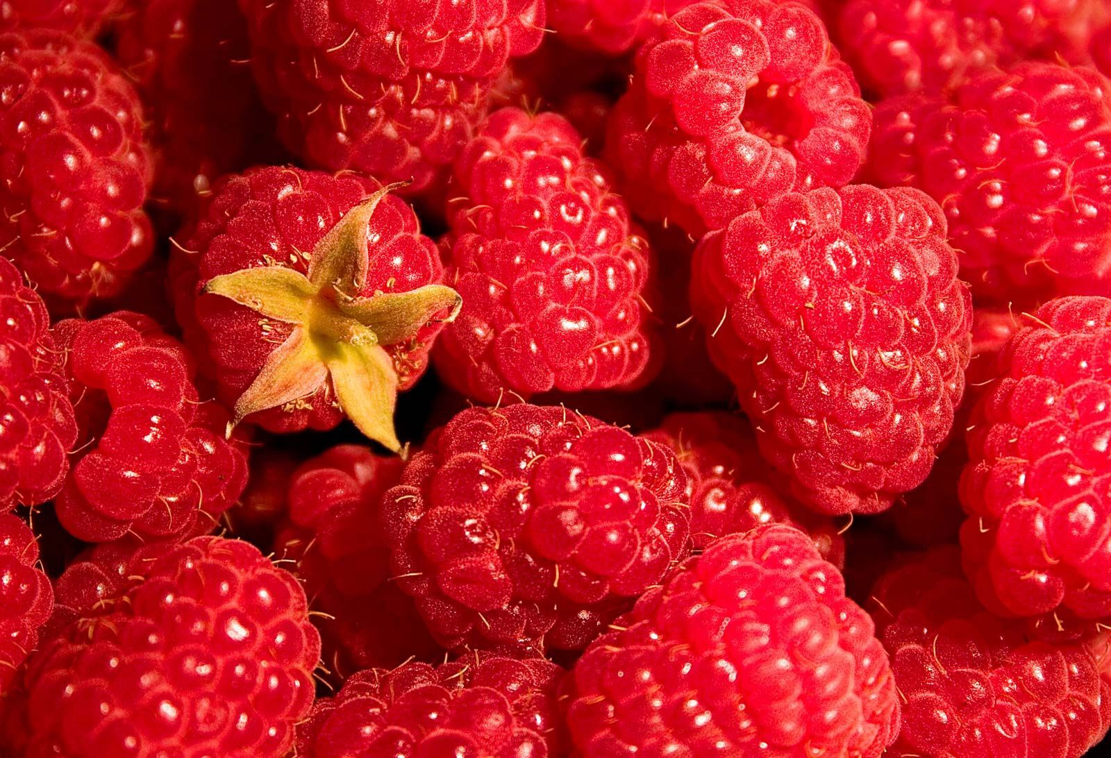 30-facts-about-raspberry