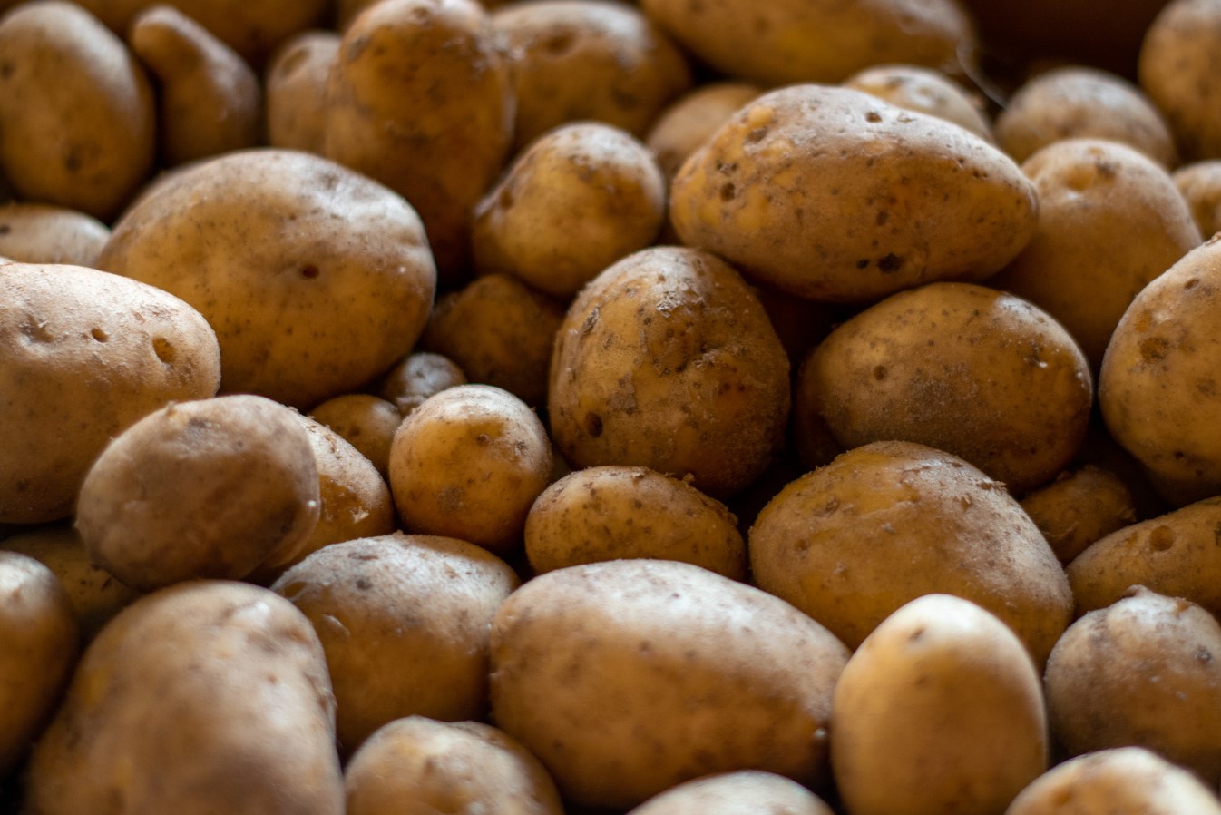 30-facts-about-russet-potato