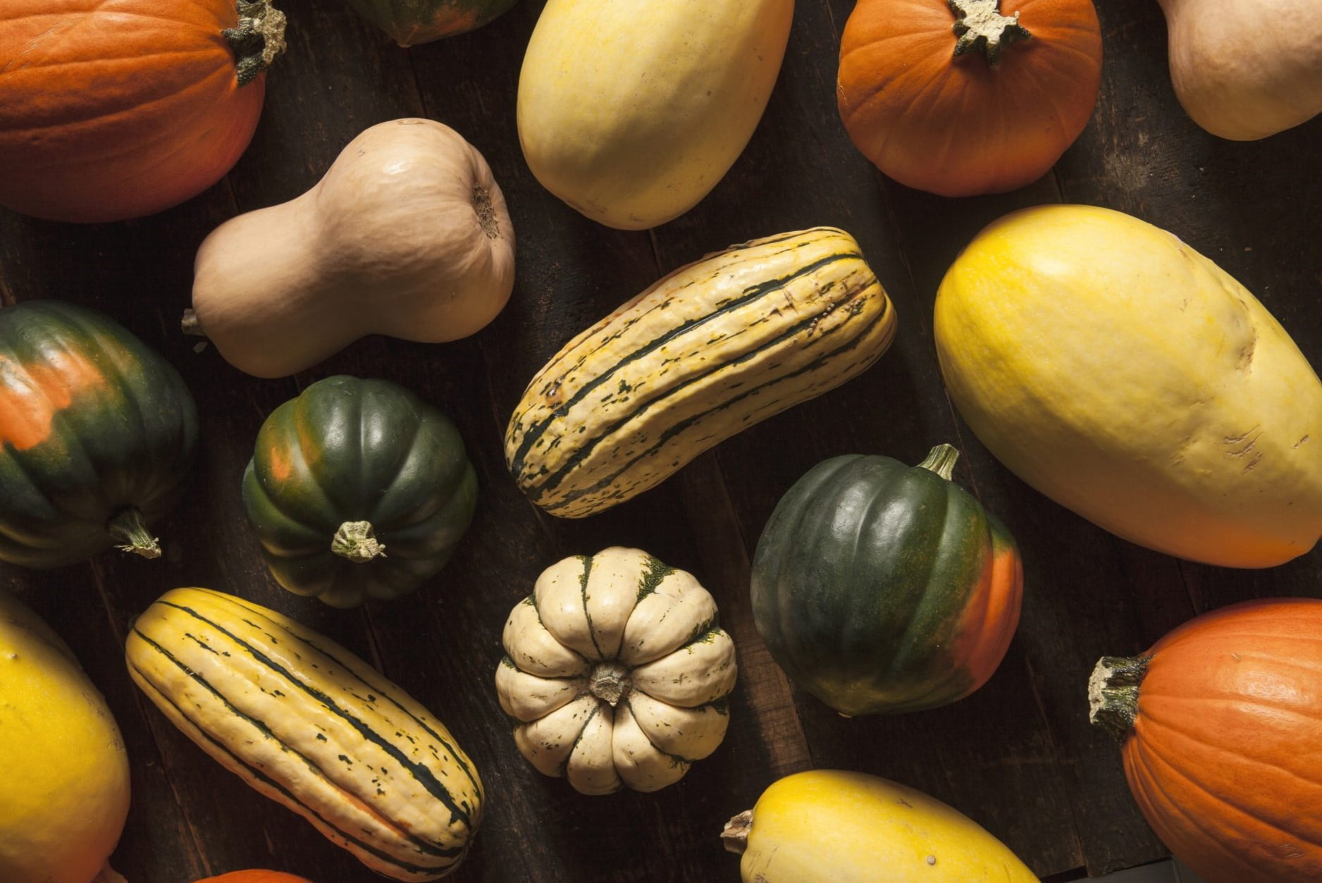 30-facts-about-winter-squash