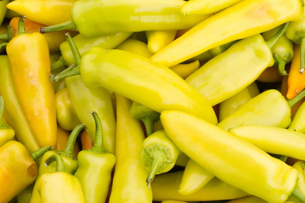 30-facts-about-yellow-pepper