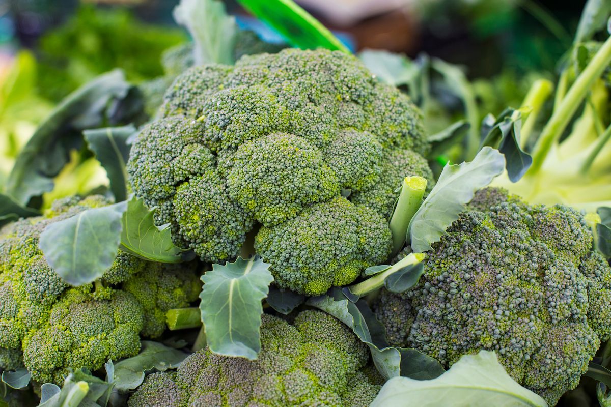 40-facts-about-broccoli