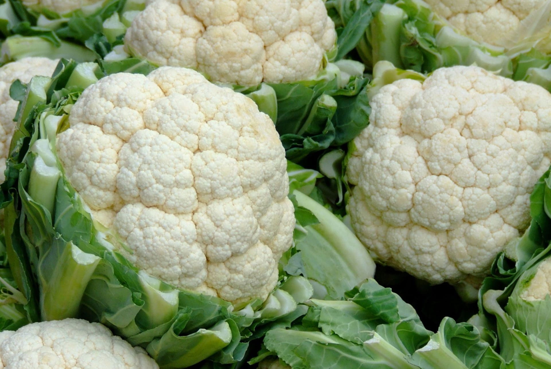 40-facts-about-cauliflower