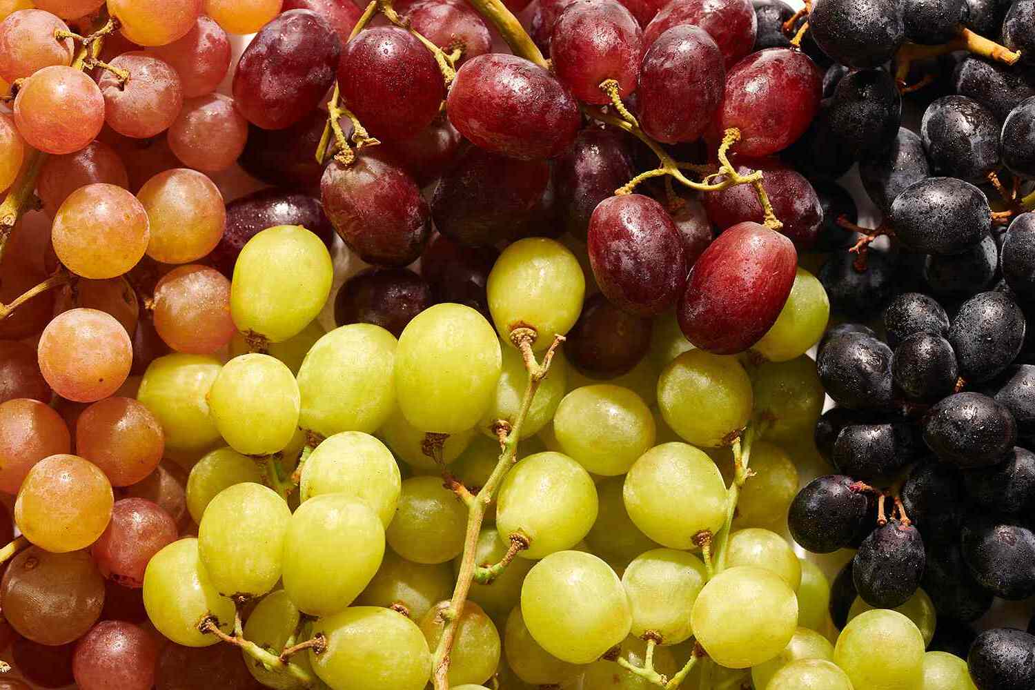 40-facts-about-grape