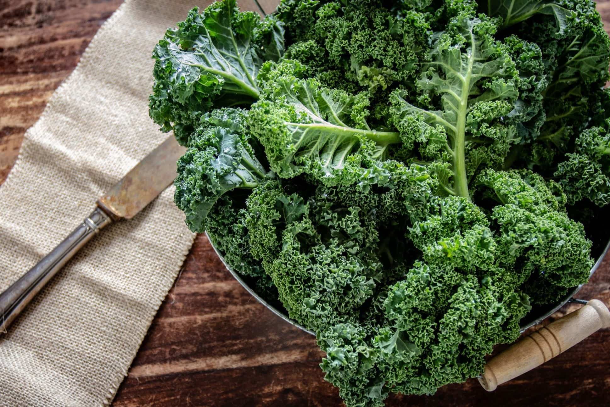 25 Facts About Purple Kale - OhMyFacts