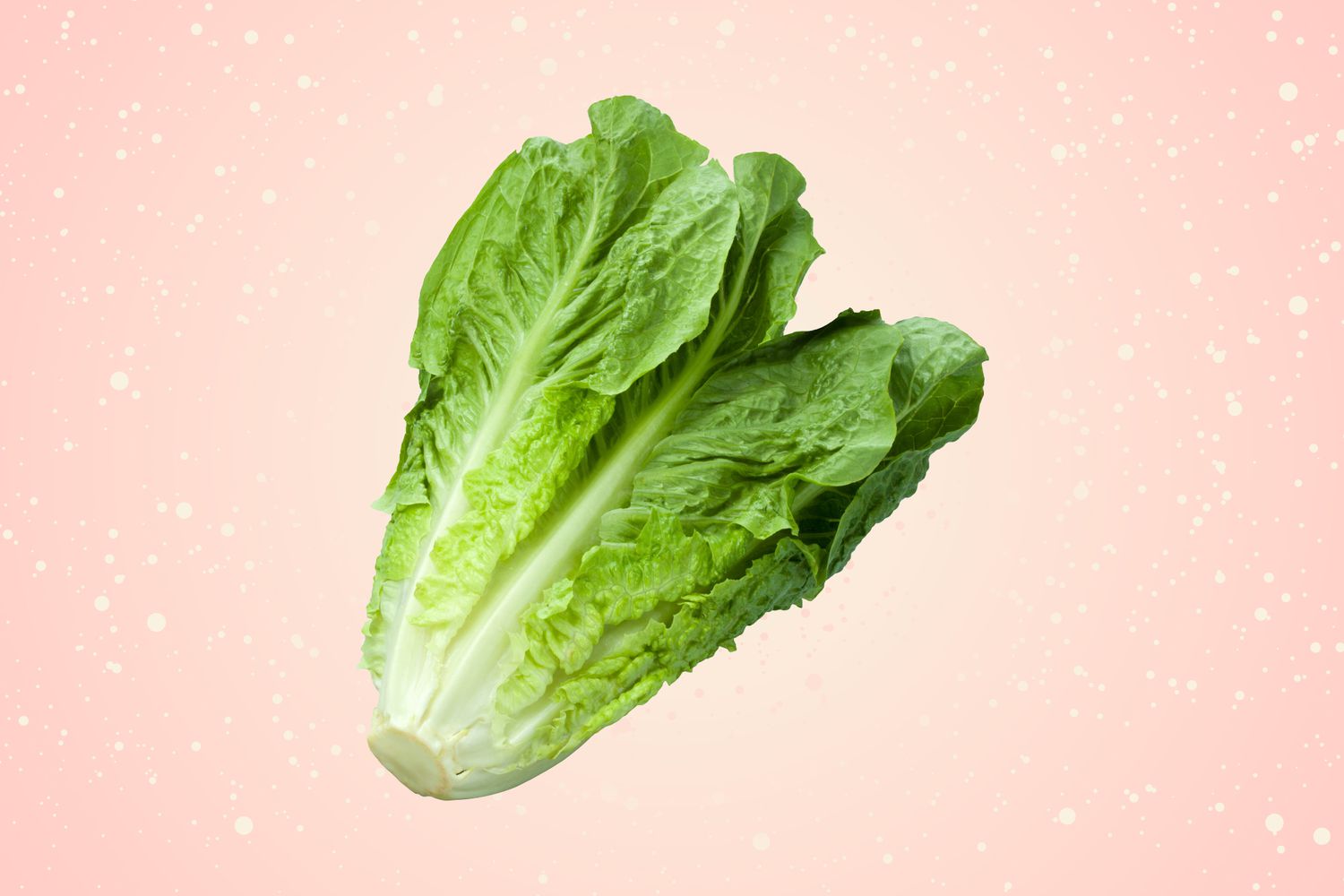 40-facts-about-lettuce