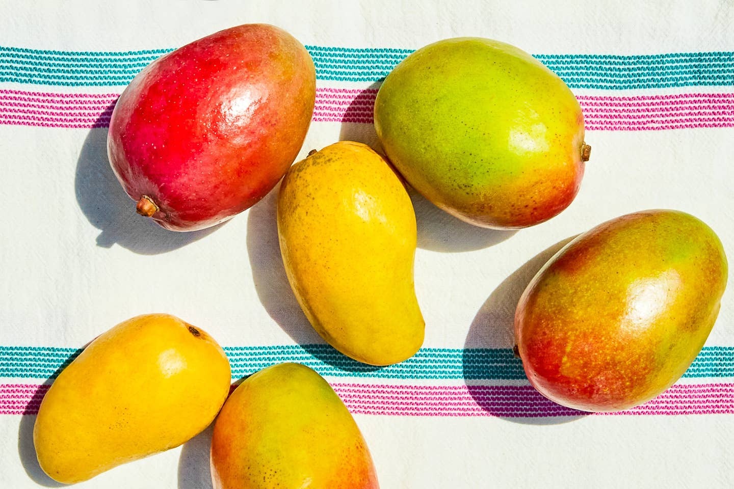 40-facts-about-mango