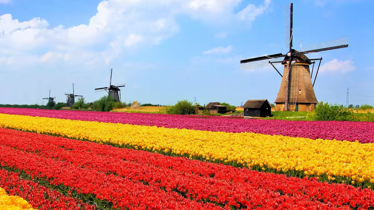 40-facts-about-netherlands